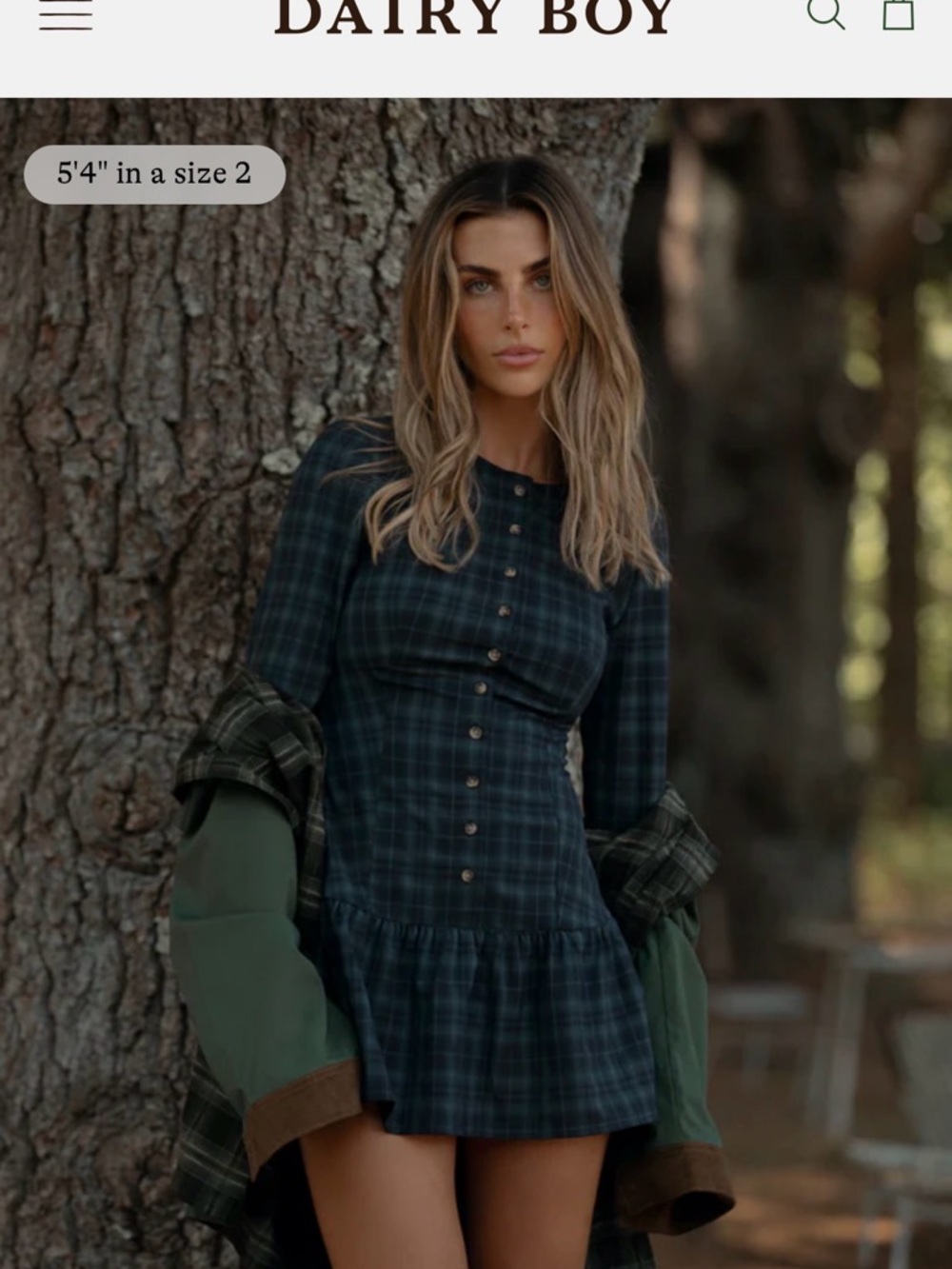 Dairy Boy Meadow Dress in Tahoe